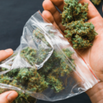 Comment choisir son CBD pour la première fois ?