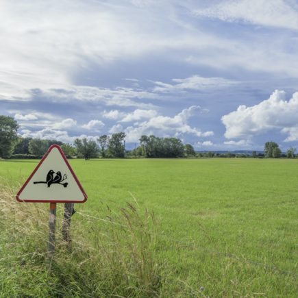 a sign in the middle of a grassy field