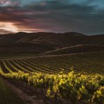 Solutions financement agricole sur GE selon PrestaFlex