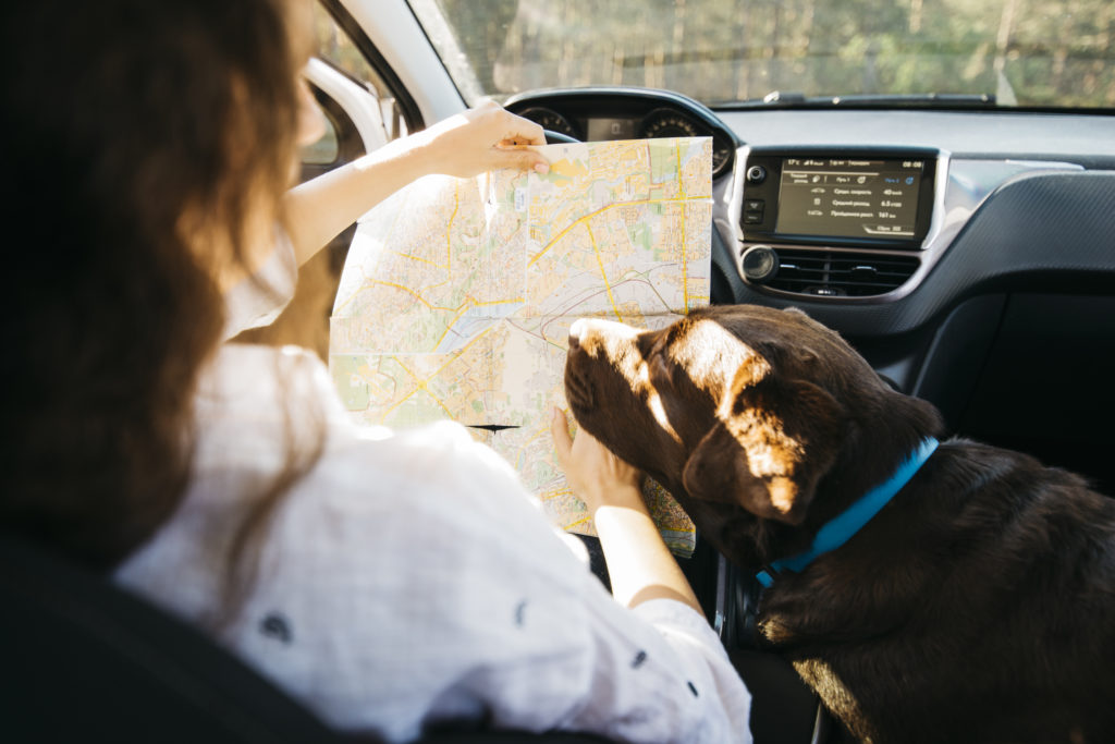 Meilleur choix agence location voiture à Genève